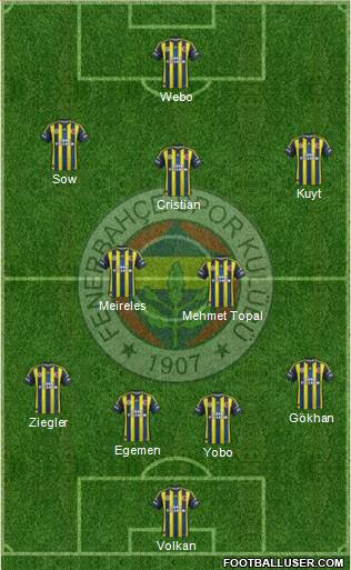 Fenerbahçe SK Formation 2013