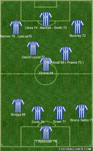 Brighton and Hove Albion Formation 2013