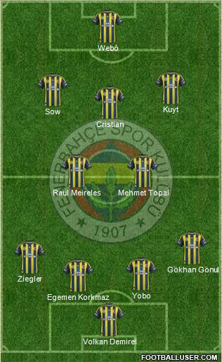 Fenerbahçe SK Formation 2013