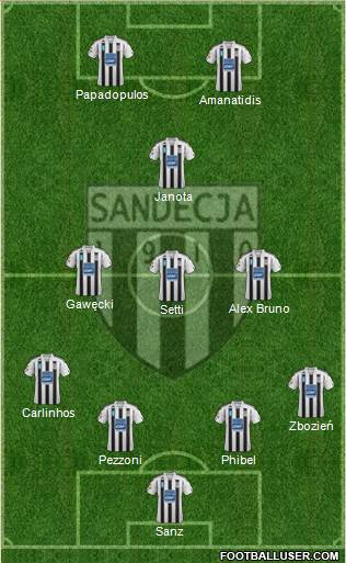 Sandecja Nowy Sacz Formation 2013