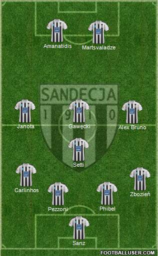 Sandecja Nowy Sacz Formation 2013