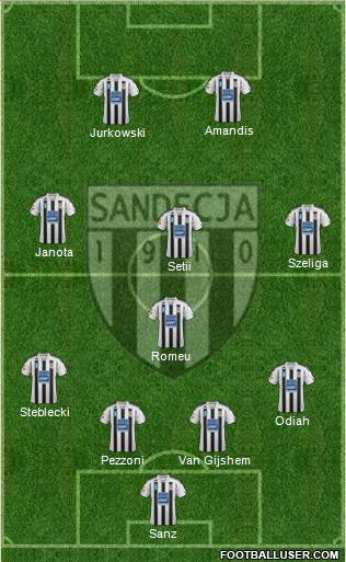 Sandecja Nowy Sacz Formation 2013