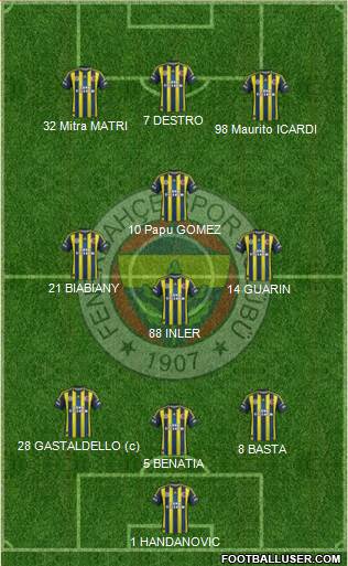 Fenerbahçe SK Formation 2013