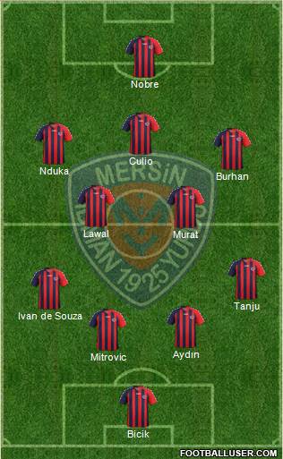Mersin Idman Yurdu Formation 2013