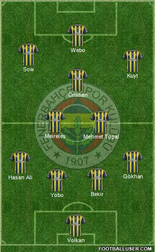 Fenerbahçe SK Formation 2013