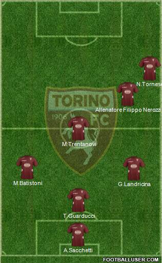 Torino Formation 2013