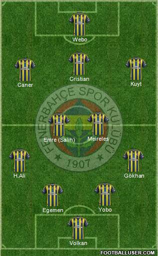 Fenerbahçe SK Formation 2013