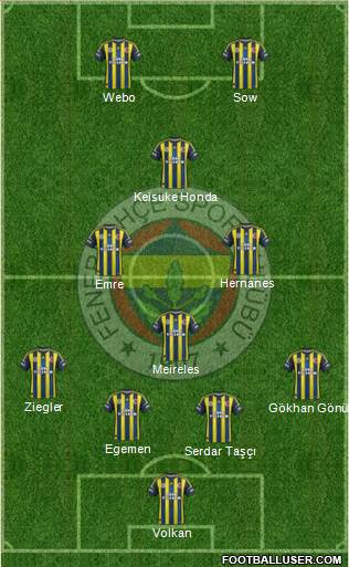 Fenerbahçe SK Formation 2013