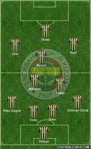 Fenerbahçe SK Formation 2013