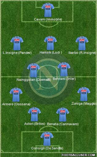 Napoli Formation 2013