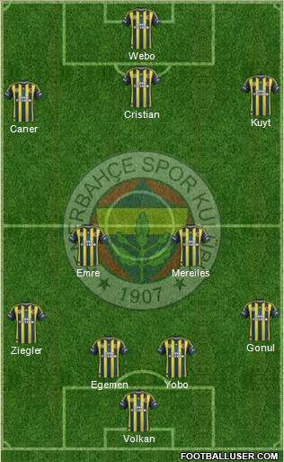 Fenerbahçe SK Formation 2013