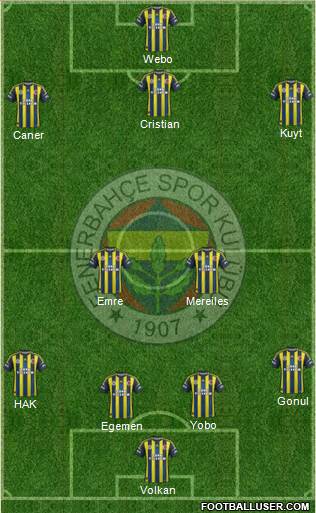 Fenerbahçe SK Formation 2013