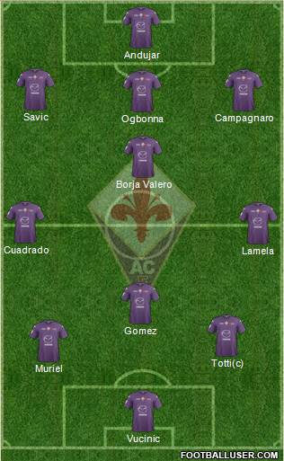 Fiorentina Formation 2013