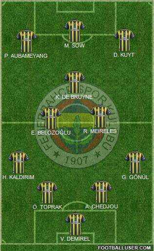Fenerbahçe SK Formation 2013