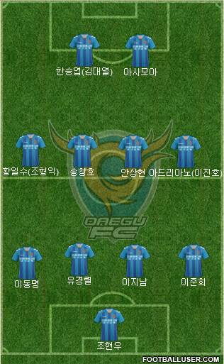 Daegu FC Formation 2013
