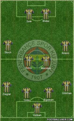 Fenerbahçe SK Formation 2013