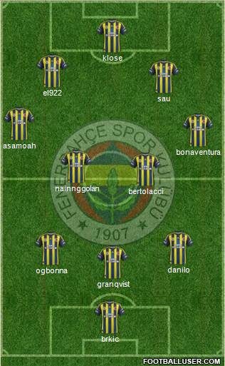 Fenerbahçe SK Formation 2013