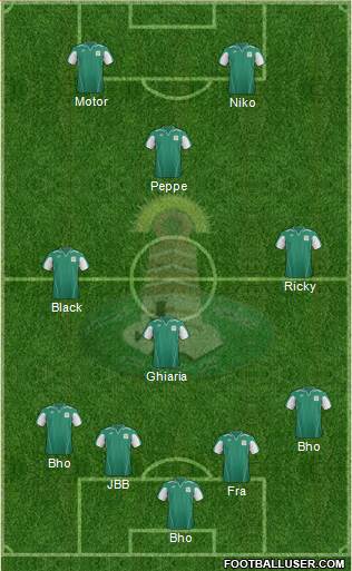 Najran Formation 2013