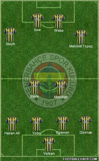 Fenerbahçe SK Formation 2013
