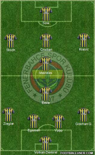 Fenerbahçe SK Formation 2013