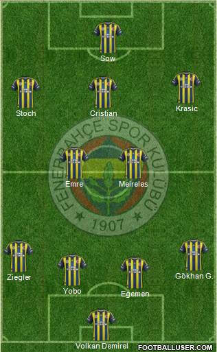 Fenerbahçe SK Formation 2013