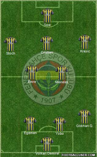 Fenerbahçe SK Formation 2013