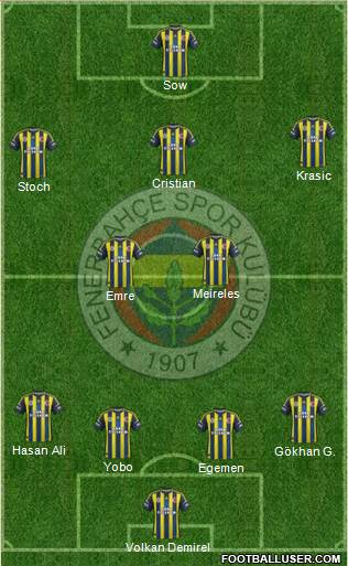 Fenerbahçe SK Formation 2013