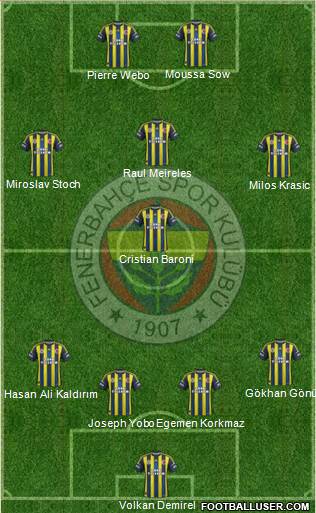 Fenerbahçe SK Formation 2013
