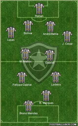 Botafogo FR Formation 2013