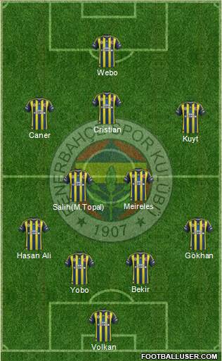 Fenerbahçe SK Formation 2013