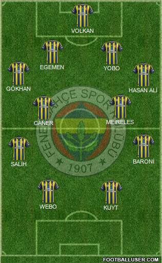 Fenerbahçe SK Formation 2013