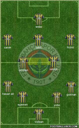 Fenerbahçe SK Formation 2013