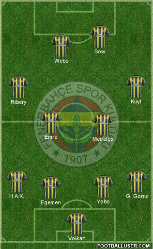 Fenerbahçe SK Formation 2013