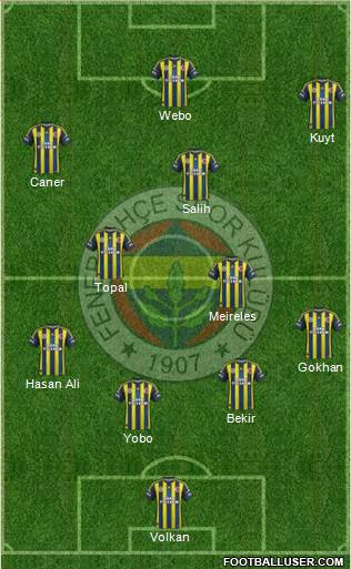 Fenerbahçe SK Formation 2013