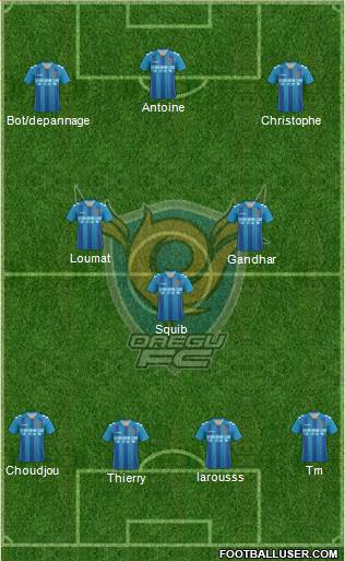 Daegu FC Formation 2013