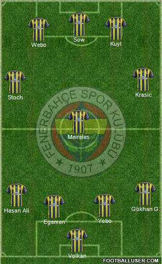 Fenerbahçe SK Formation 2013