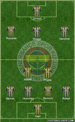 Fenerbahçe SK Formation 2013