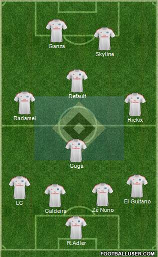 Hamburger SV Formation 2013