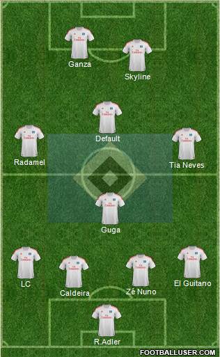 Hamburger SV Formation 2013