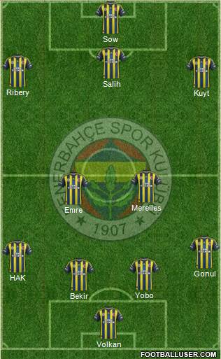 Fenerbahçe SK Formation 2013