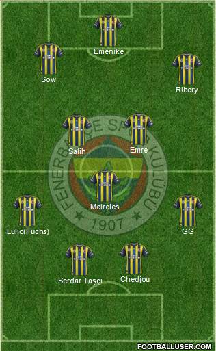 Fenerbahçe SK Formation 2013