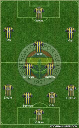 Fenerbahçe SK Formation 2013