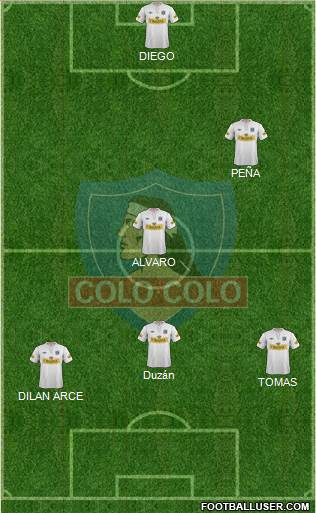 CSD Colo Colo Formation 2013