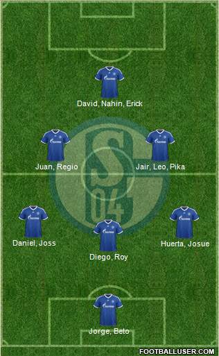 FC Schalke 04 Formation 2013