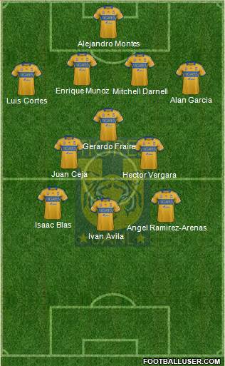 Club Universitario de Nuevo León Formation 2013