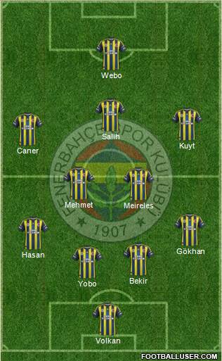 Fenerbahçe SK Formation 2013