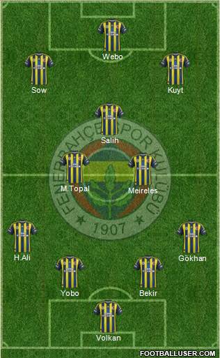 Fenerbahçe SK Formation 2013