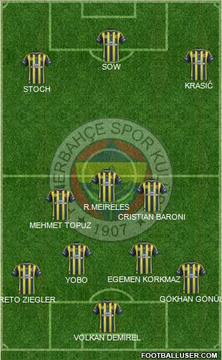 Fenerbahçe SK Formation 2013