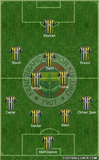 Fenerbahçe SK Formation 2013