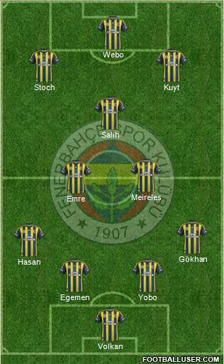 Fenerbahçe SK Formation 2013